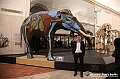 VBS_0905 - Riapre il Museo di Scienze Naturali dopo dieci anni di chiusura